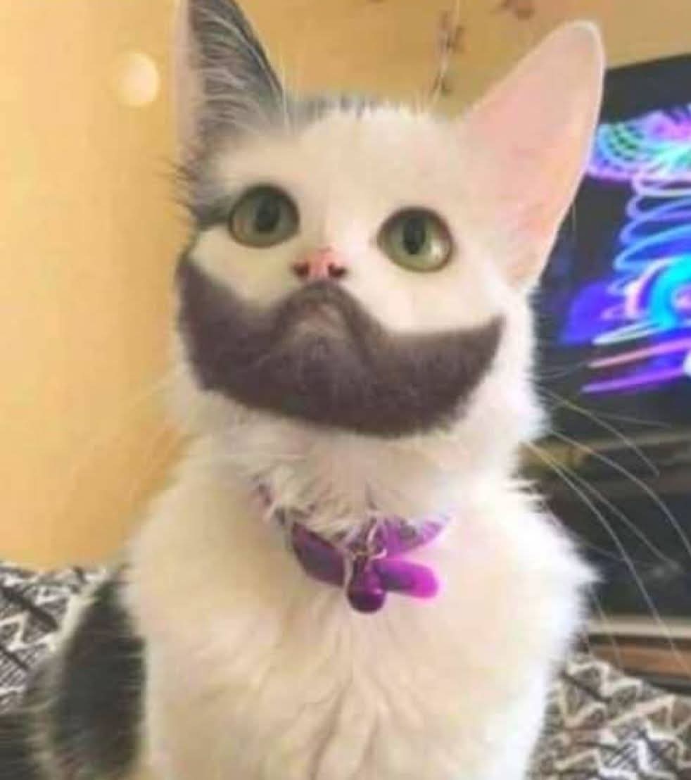 Marcela Quintero tweet media