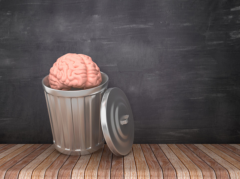 Bruno Lopez tweet media