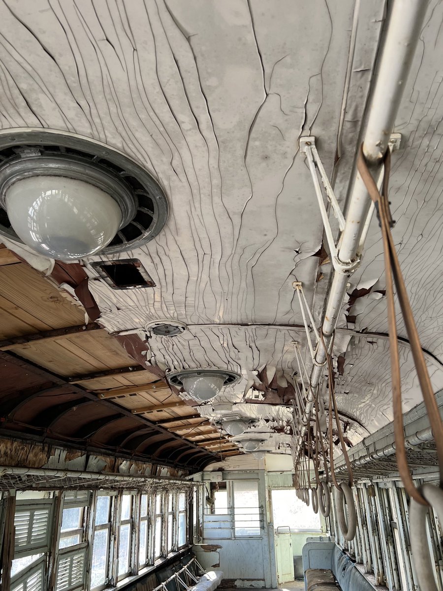 鞆(とも) tweet media