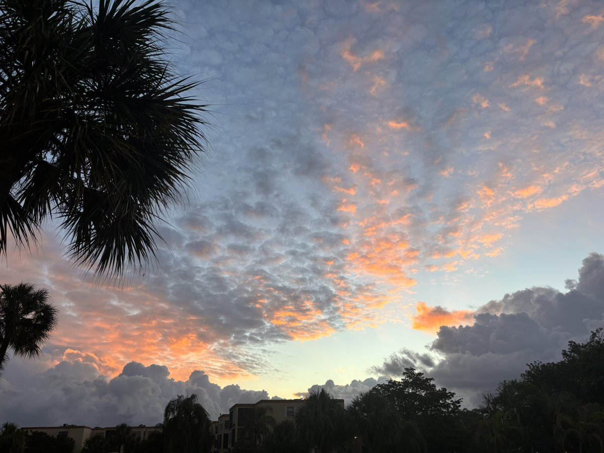 Susan Mertins-Jones tweet media