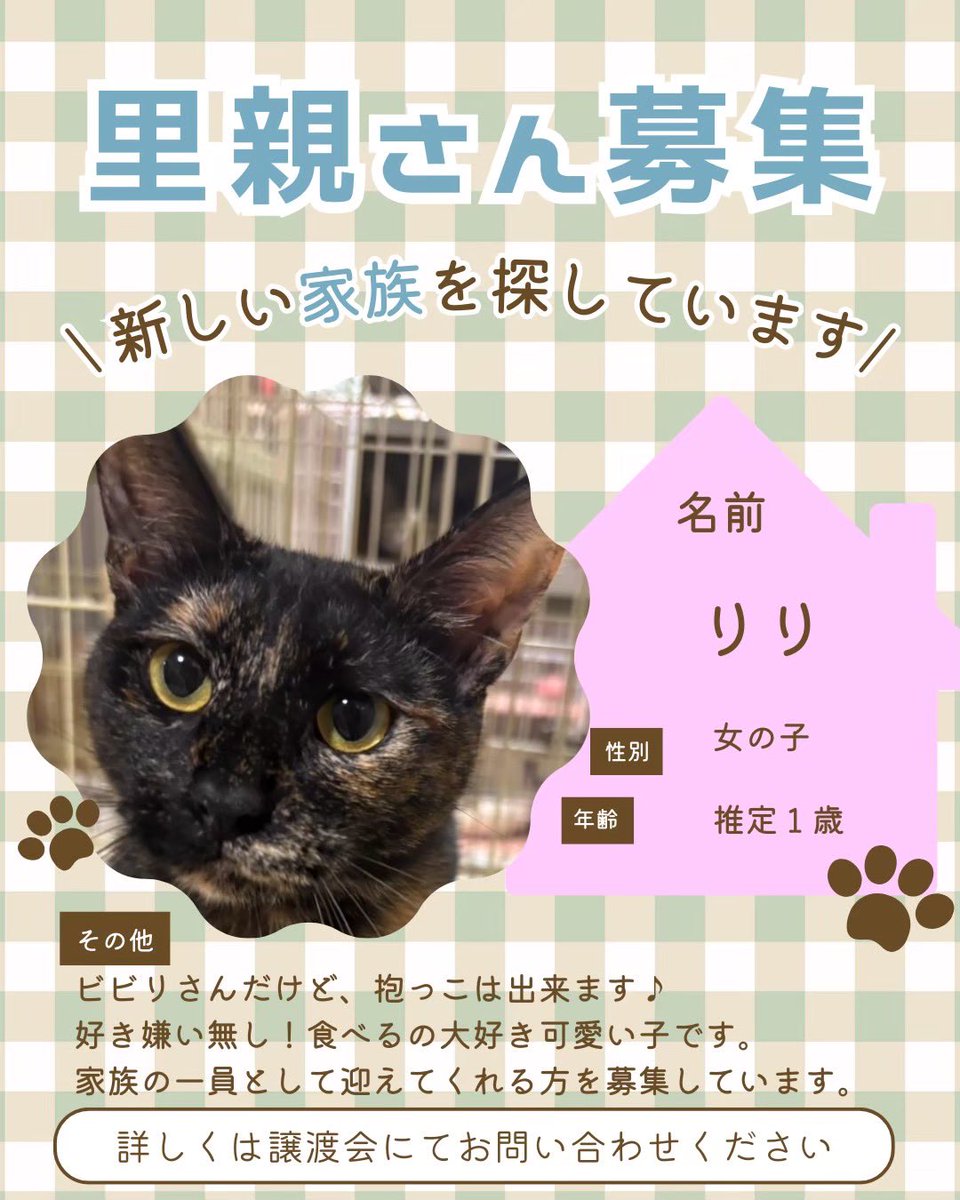 町田動物愛護の会 tweet media