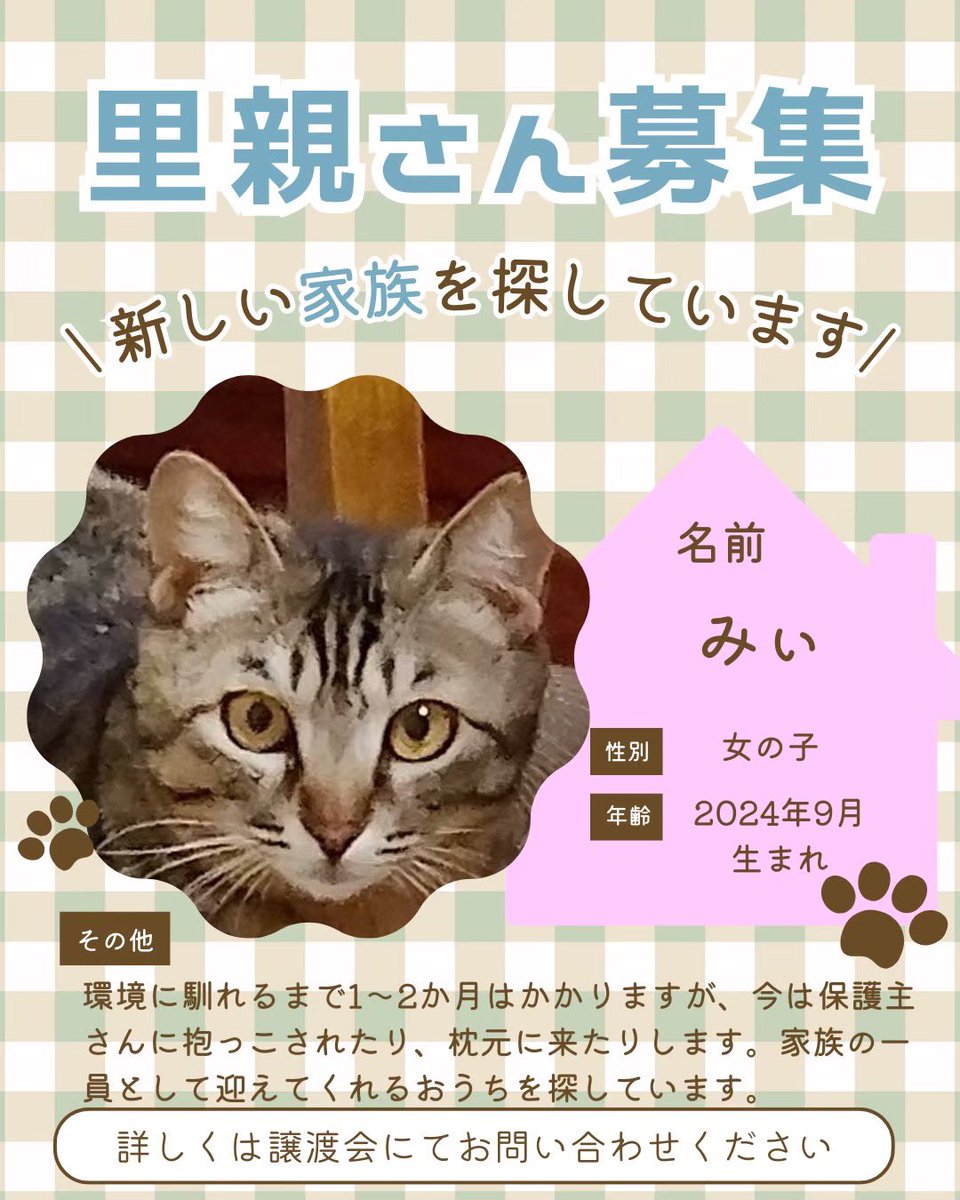 町田動物愛護の会 tweet media