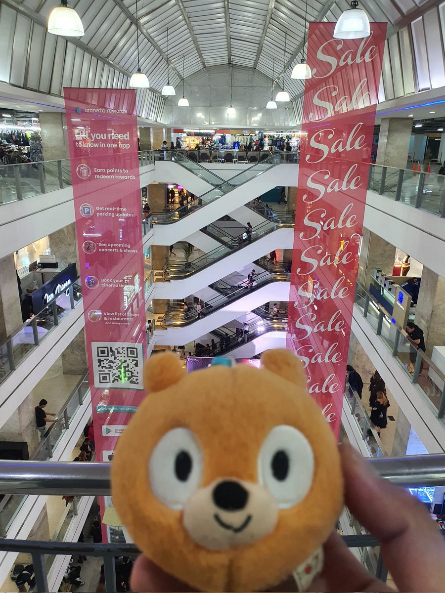 Daily Woff Migration ~○ tweet media