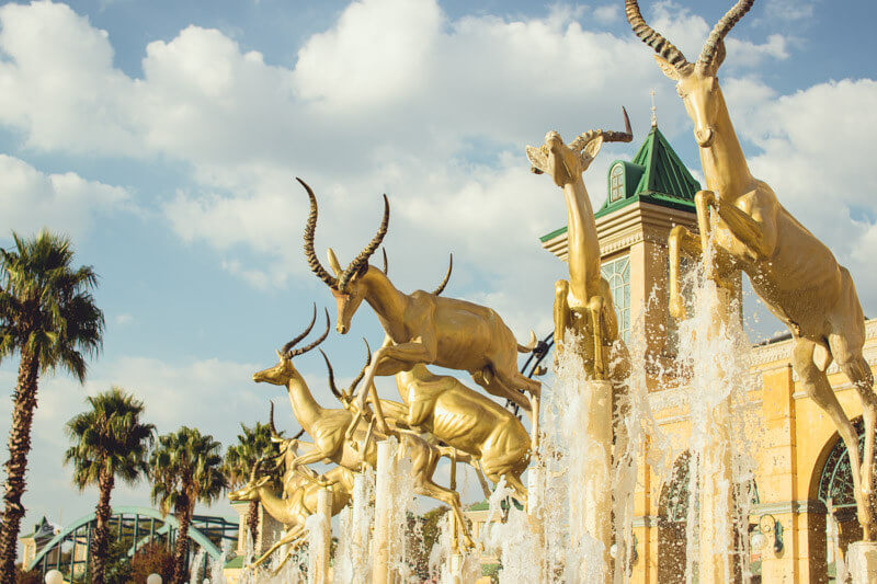 Secret Flying tweet media