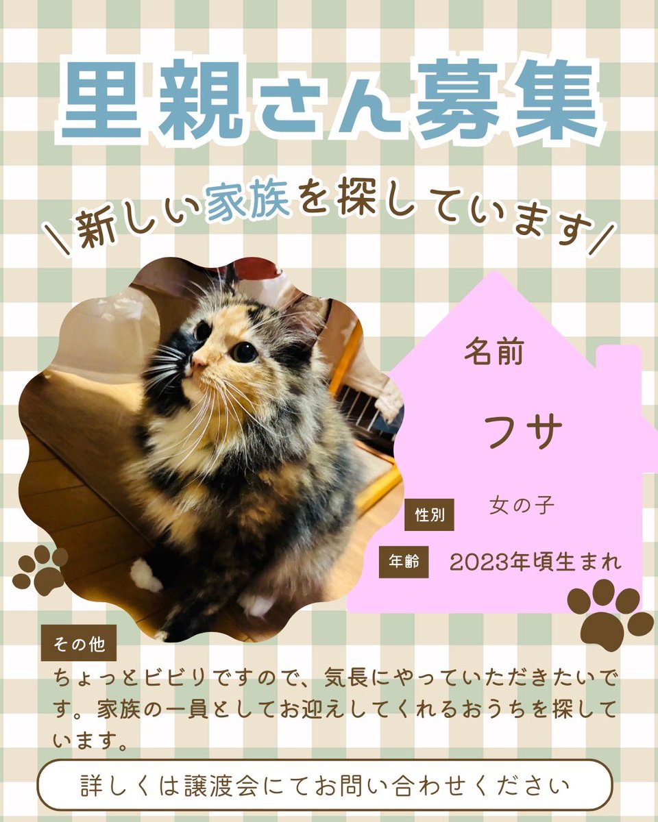 町田動物愛護の会 tweet media