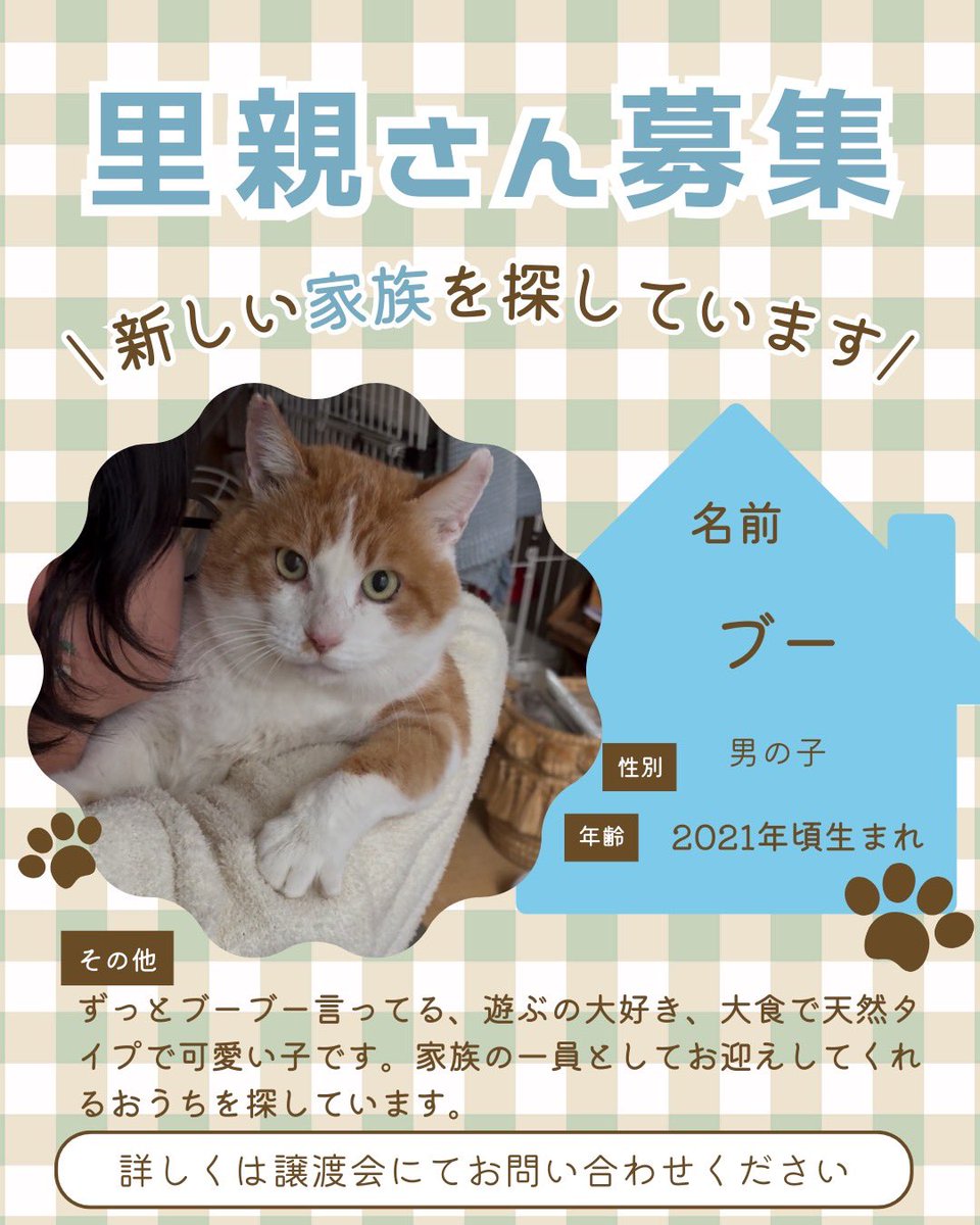 町田動物愛護の会 tweet media