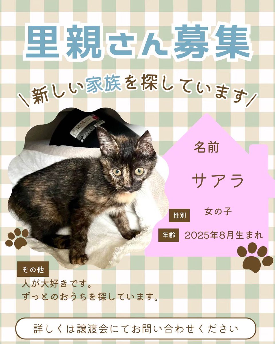 町田動物愛護の会 tweet media