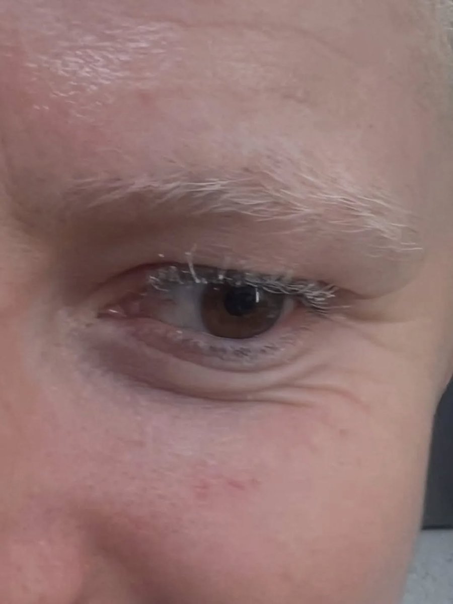 cinemaland tweet media