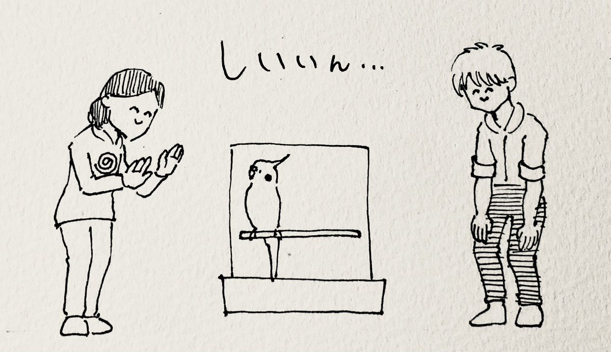 NORISAN鳥タロット新パッケージ発売！ tweet media