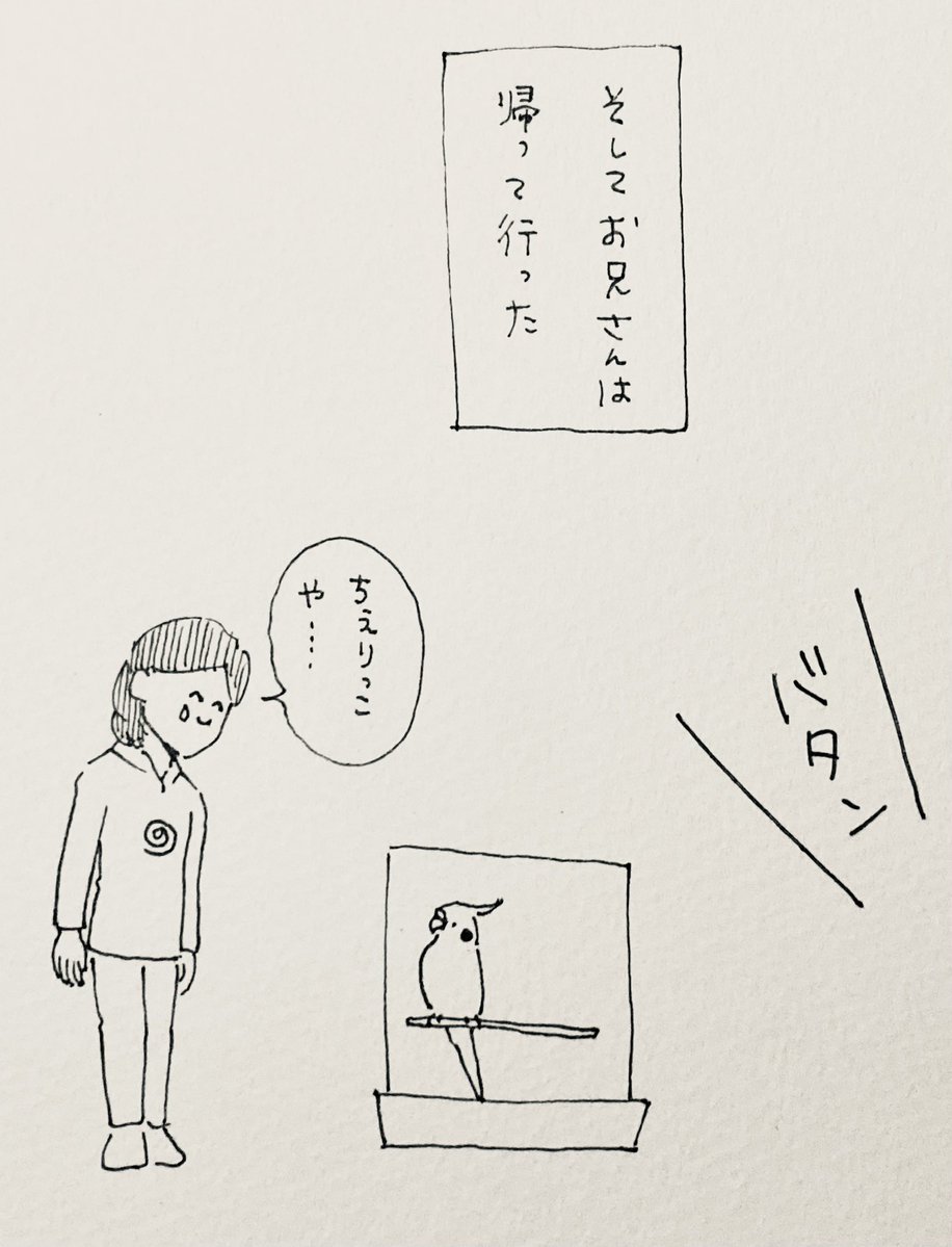 NORISAN鳥タロット新パッケージ発売！ tweet media