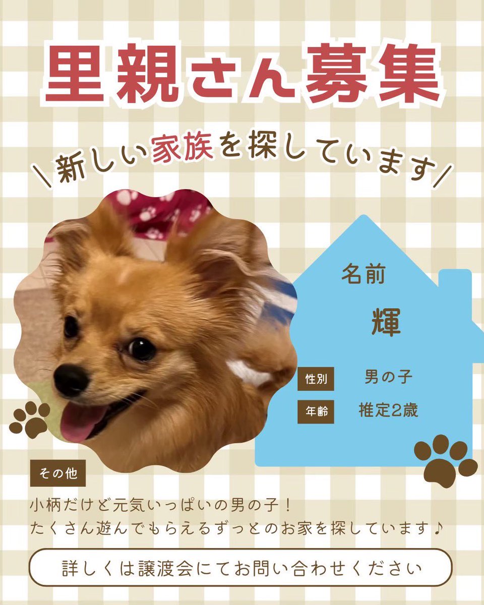 町田動物愛護の会 tweet media