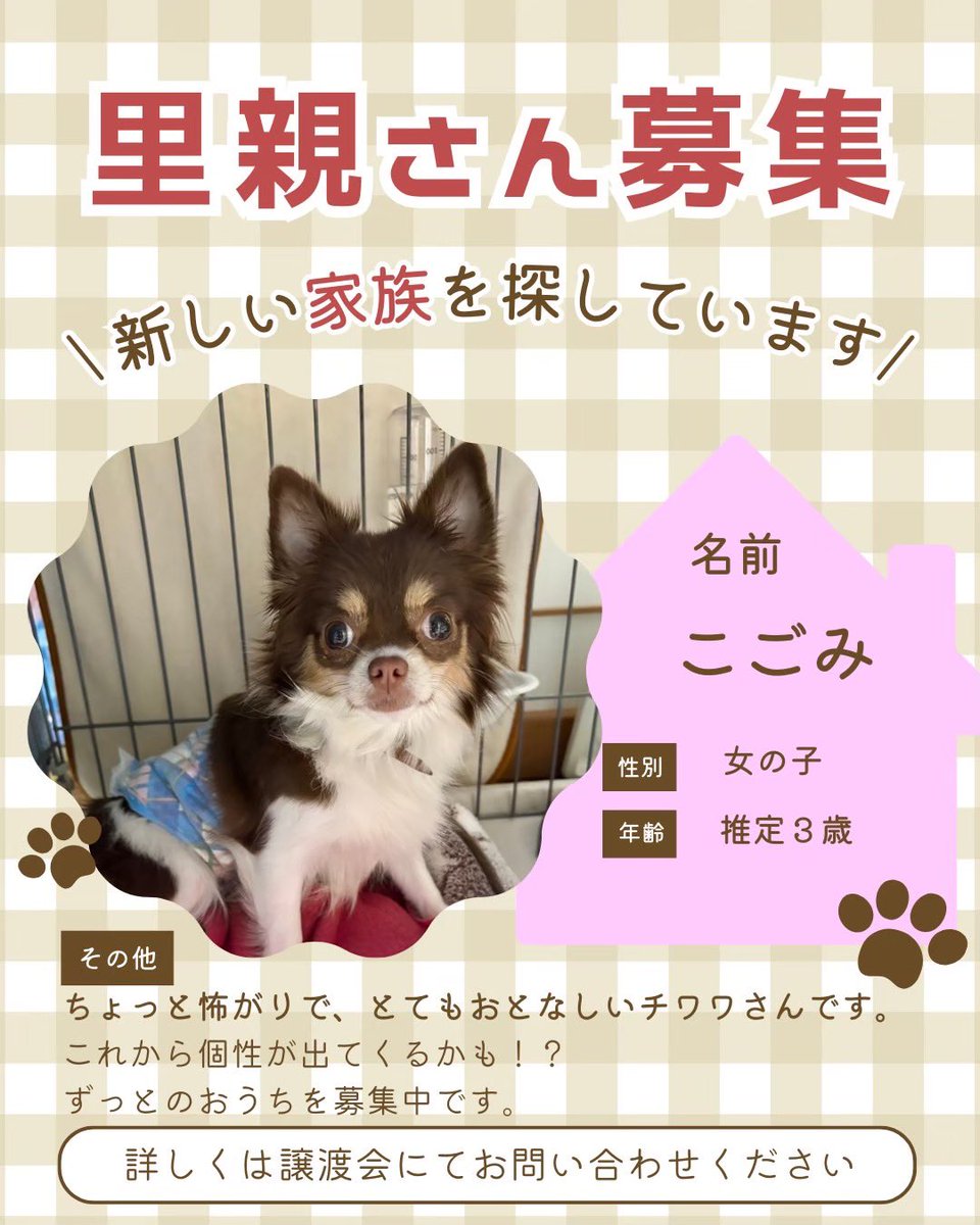 町田動物愛護の会 tweet media