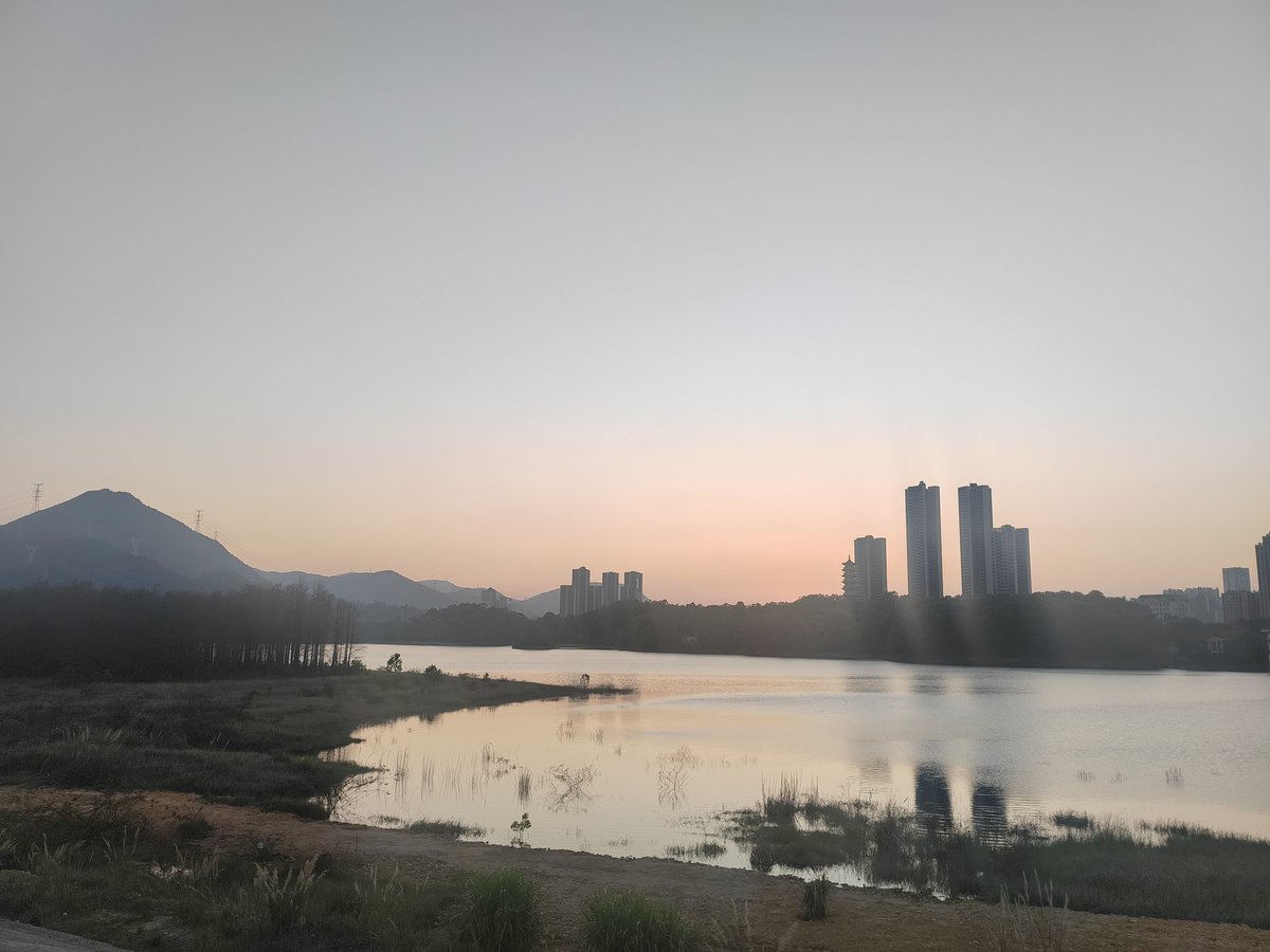 程序员老熊 tweet media