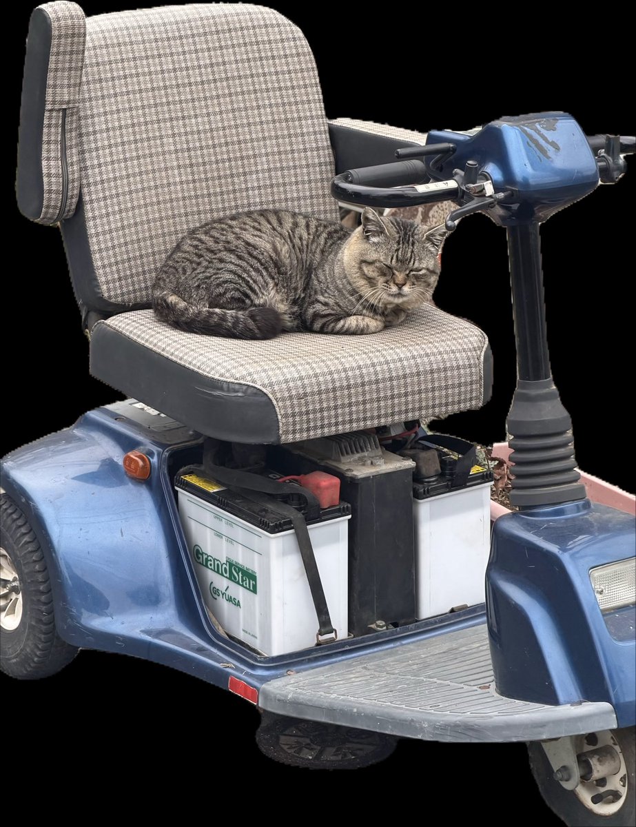 埼玉の仙人【4/11モカ風味CAF’E】 tweet media