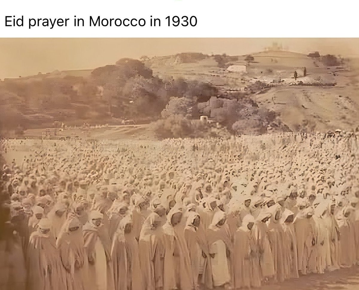 Moorish darknight ⭐️⭐️ tweet media