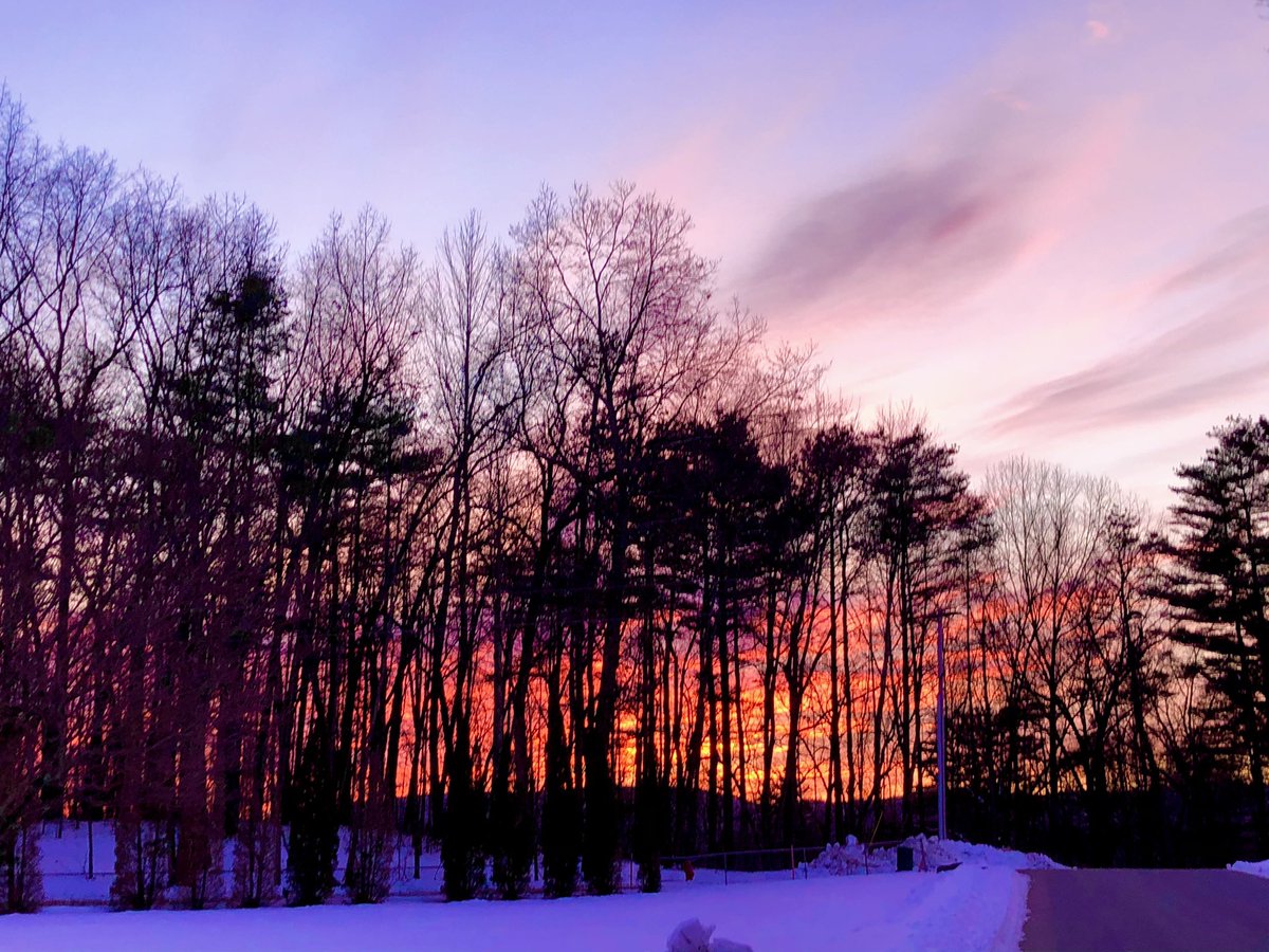 𝒞𝒽𝒶𝓃𝓉𝑒𝓁 tweet media