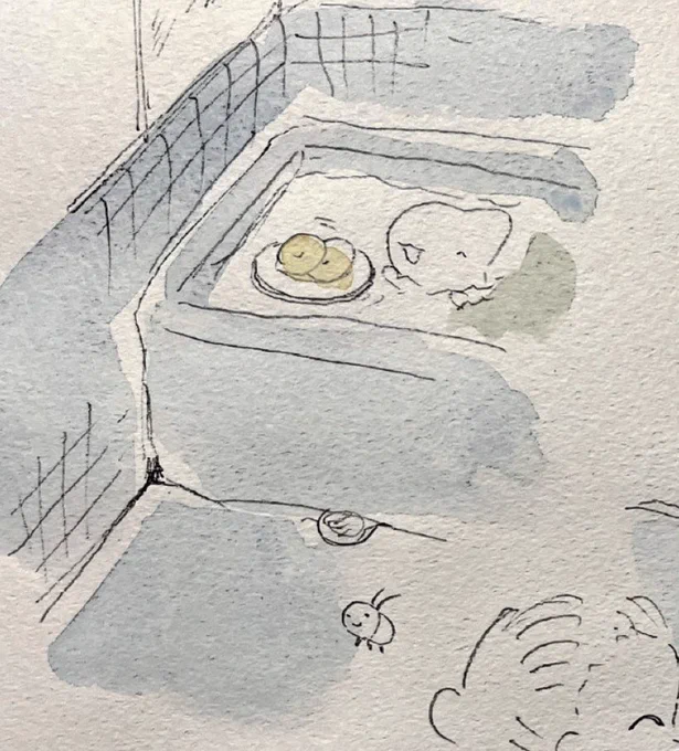 子ザメのひとりぐらしの超初期段階の設定画3。ぽんたろう、顔がもうすこし縦長になったかも! 