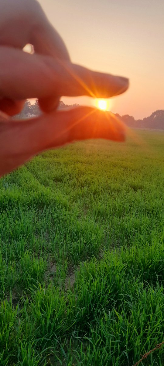 अनु 🚩🇮🇳 tweet media