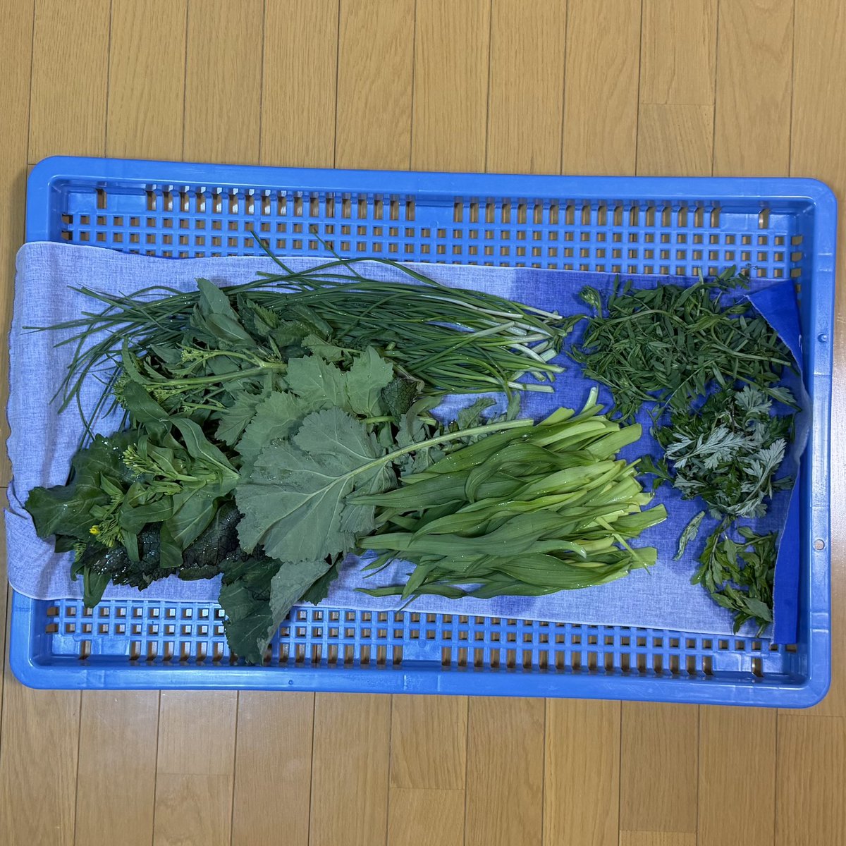 温かみのある手作業のスティーブ tweet media