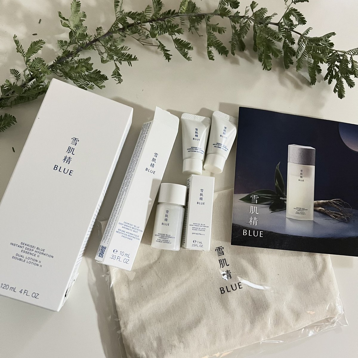 雪肌精 BLUE｜Prédia BLUE 公式 (@sekkiseiblue) / Posts / X