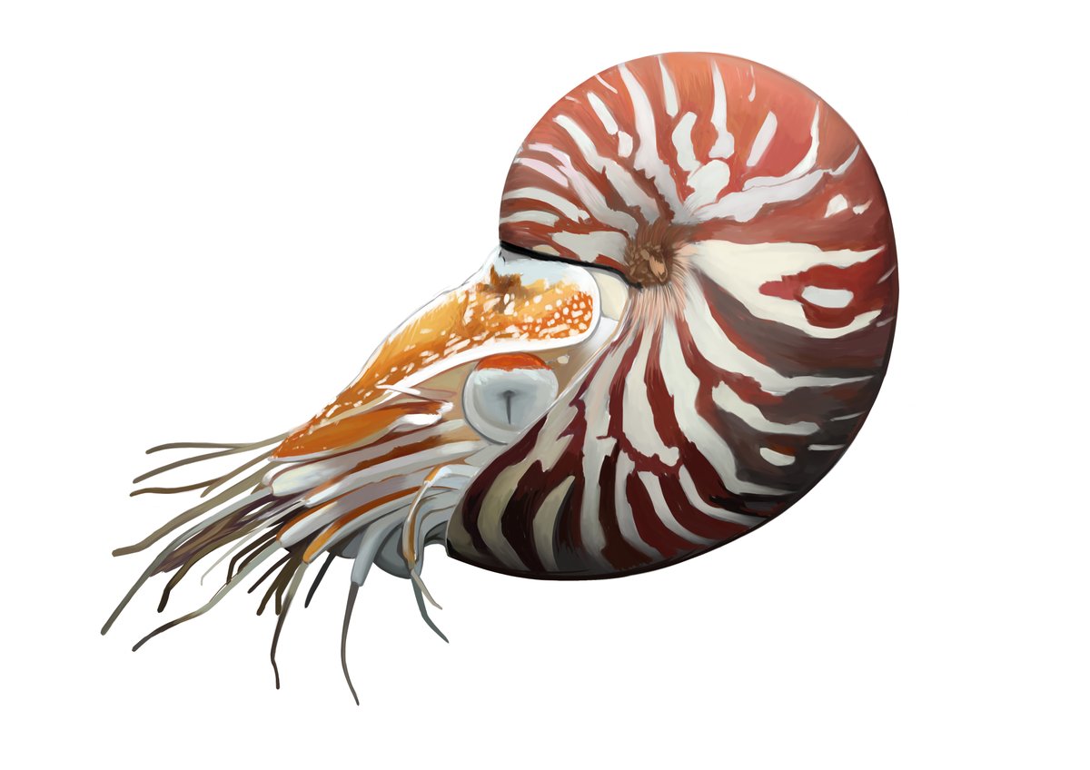 さすず tweet media