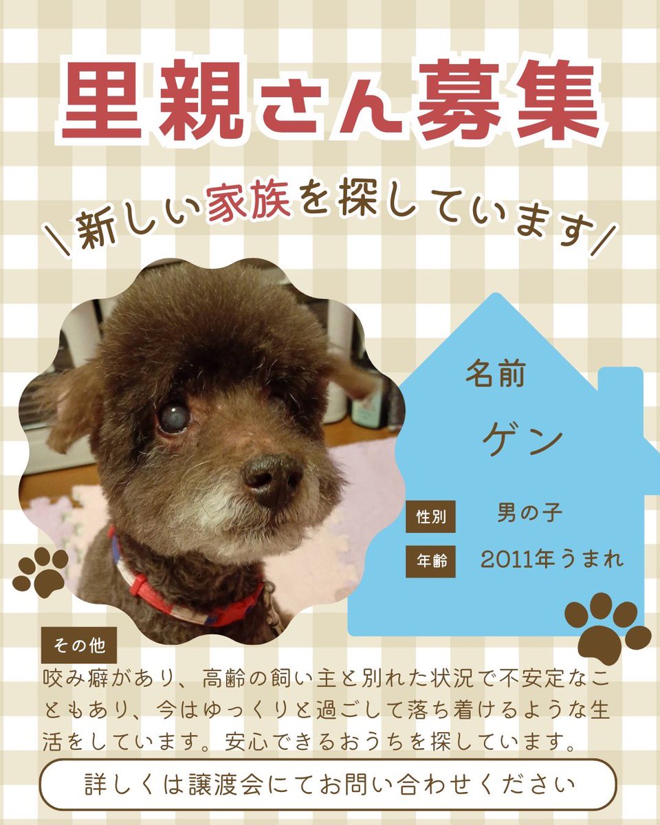 町田動物愛護の会 tweet media