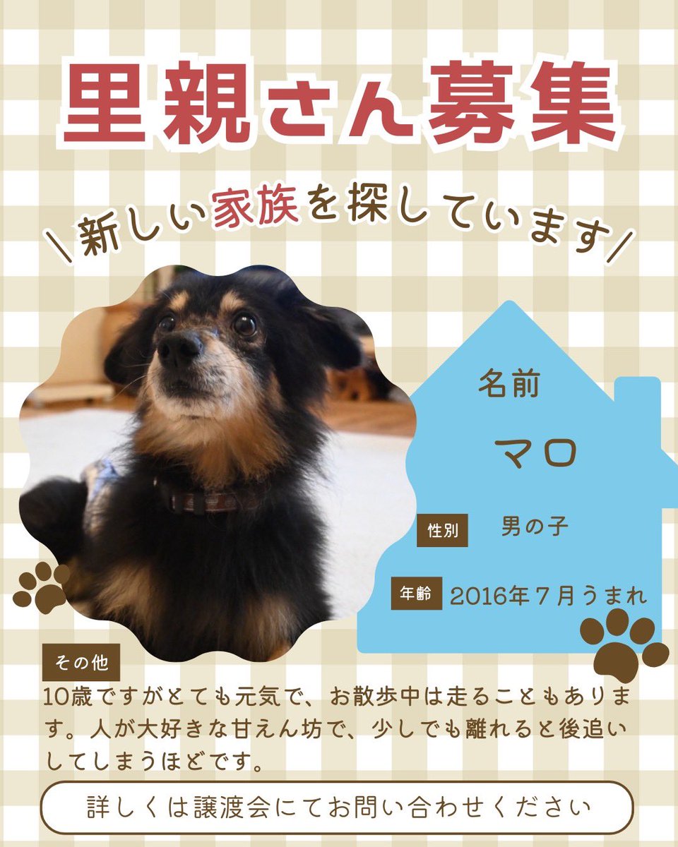 町田動物愛護の会 tweet media