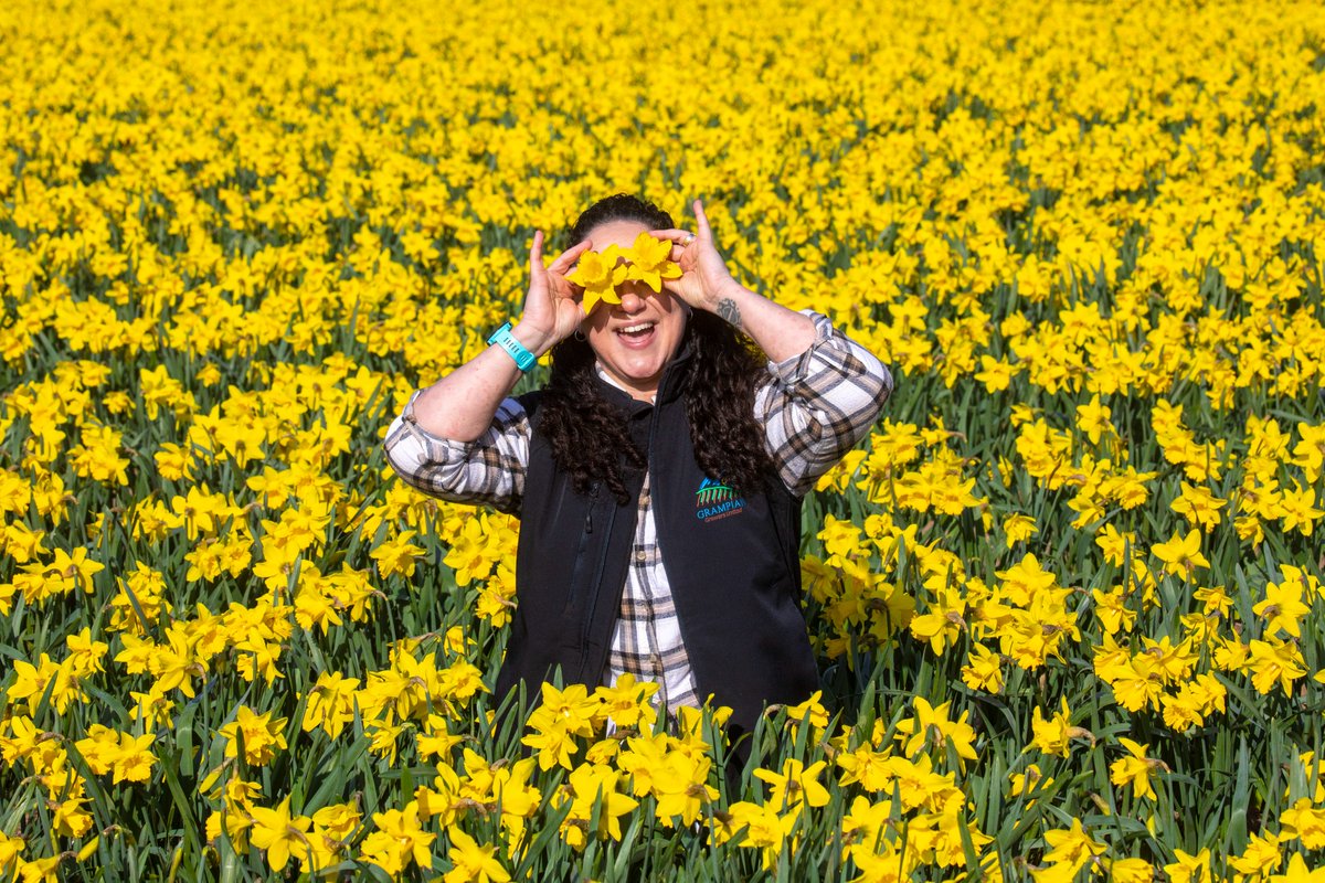 ARROWSMITH🏴󠁧󠁢󠁳󠁣󠁴󠁿 tweet media