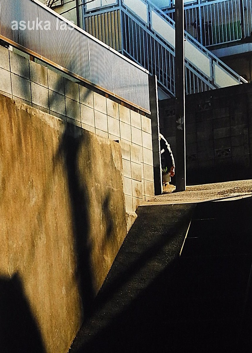 asukalas's tweet photo. #Contax
#Contax2
#フィルム写真
#スナップ写真
ぬくもりの https://t.co/60OMQKFWNB