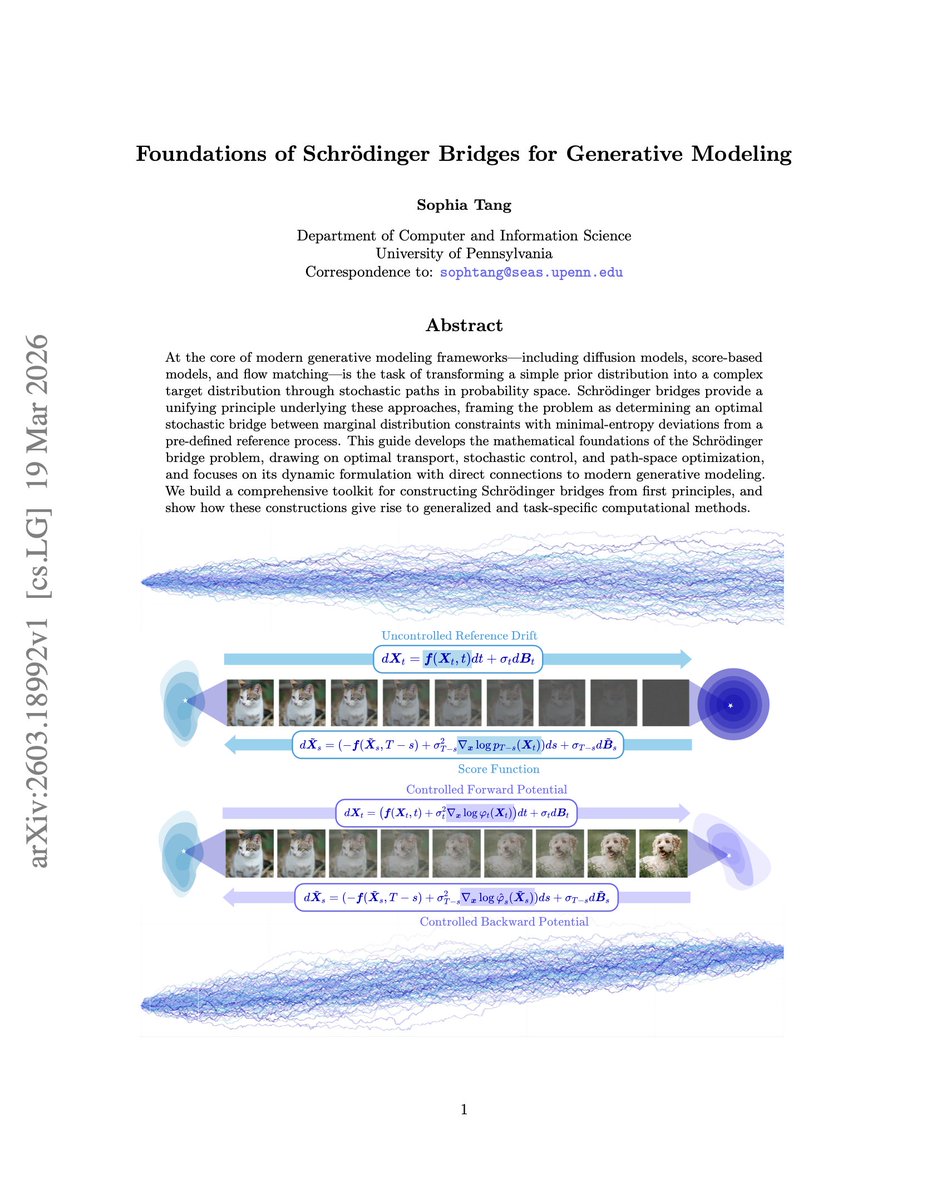 Sophia Tang tweet media