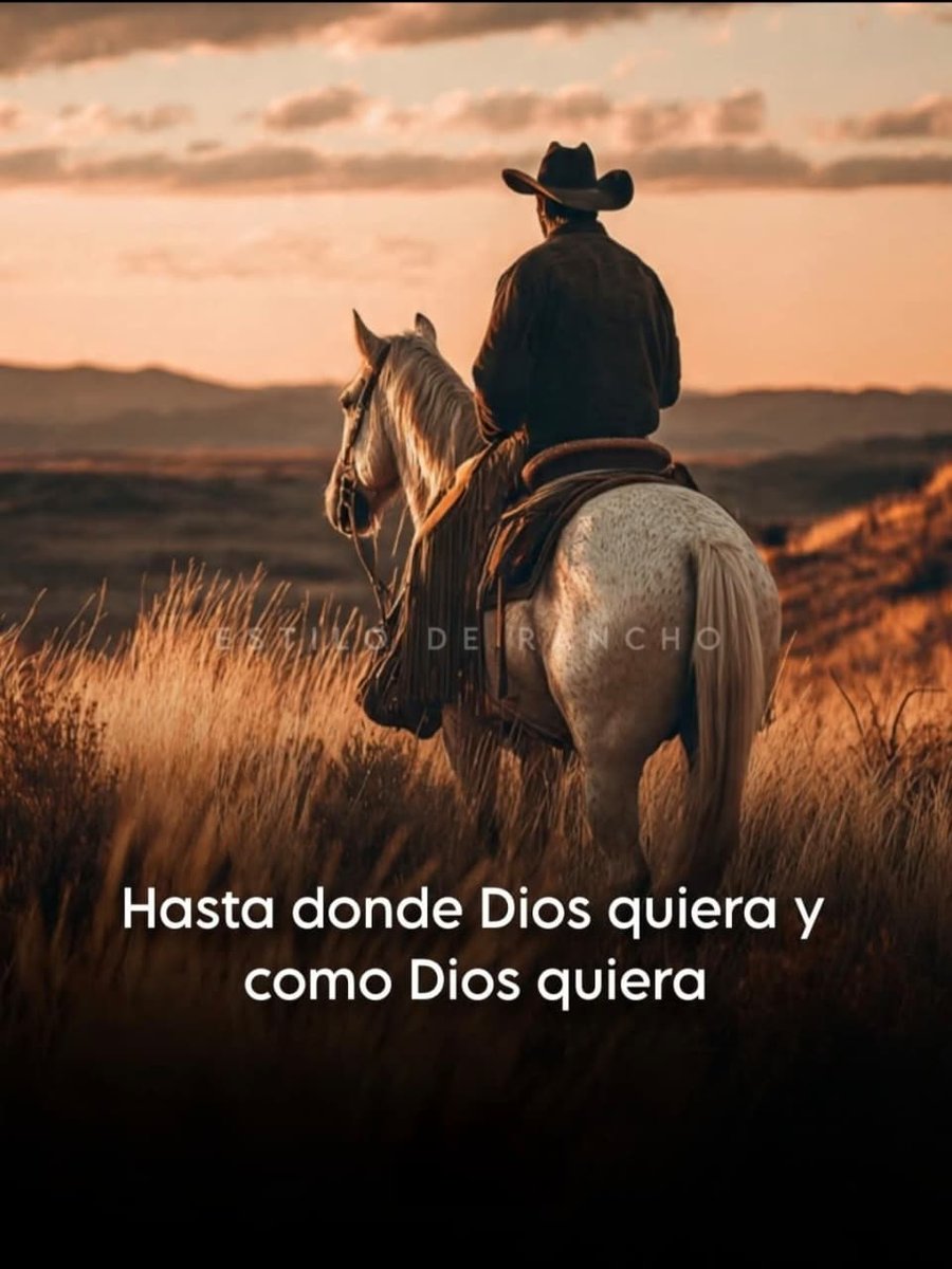 Juan Carlos Meza Fuentes (@3jcmeza) on Twitter photo 