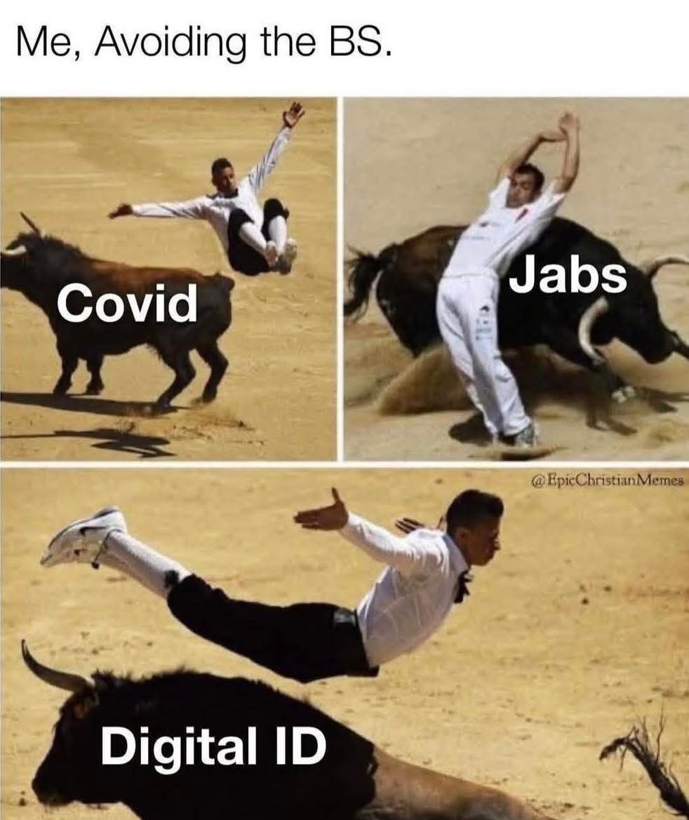 1880 🐸 tweet media