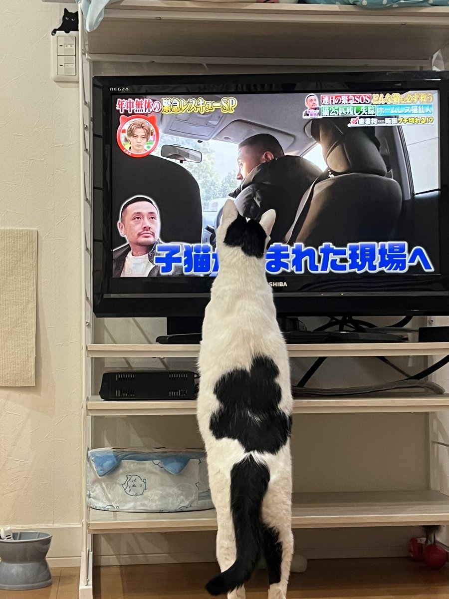 革ジャン坂田さんを張り付いて見ている