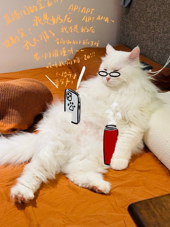 Askdemidi tweet media