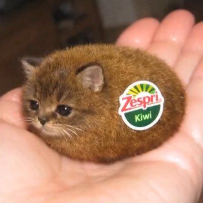 Remi Hendriks tweet media