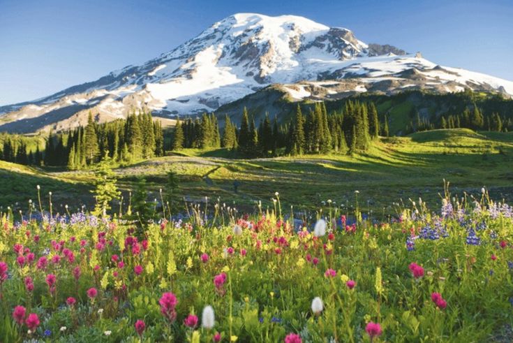 Exploreforever tweet media