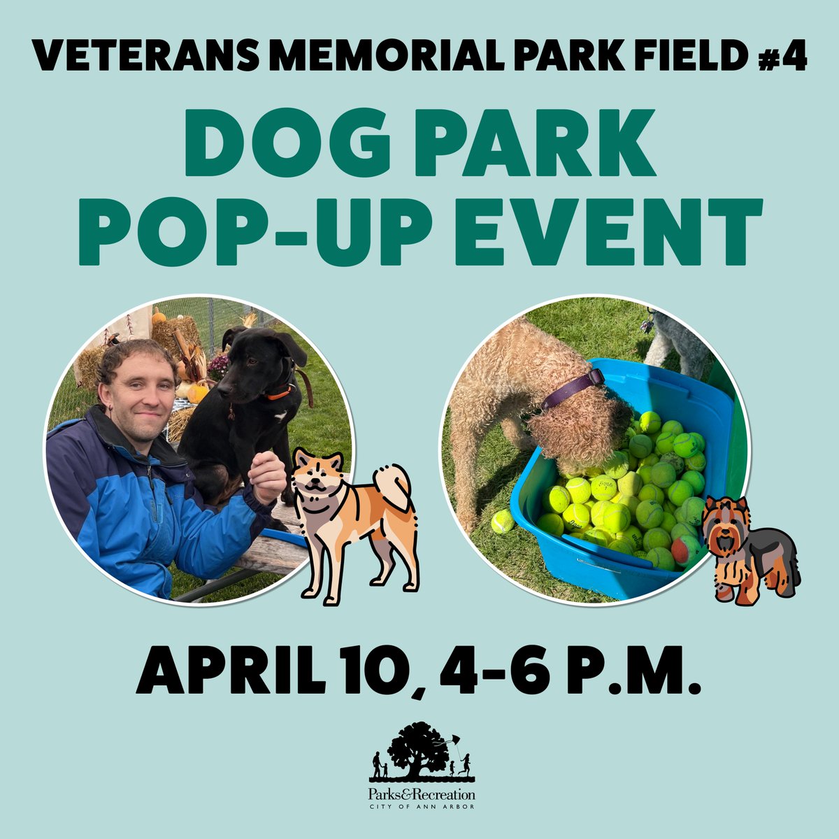 Ann Arbor Parks Rec tweet media