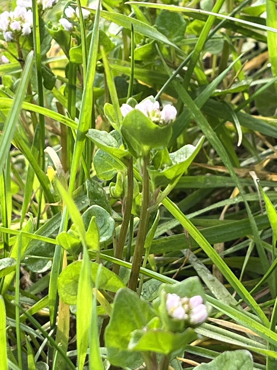 Prof Duncan Westbury tweet media