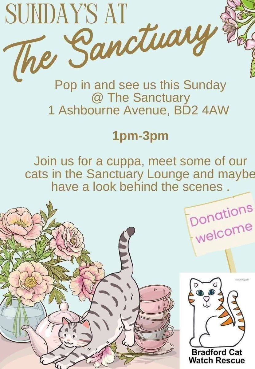 Bradford Cat Watch Rescue tweet media