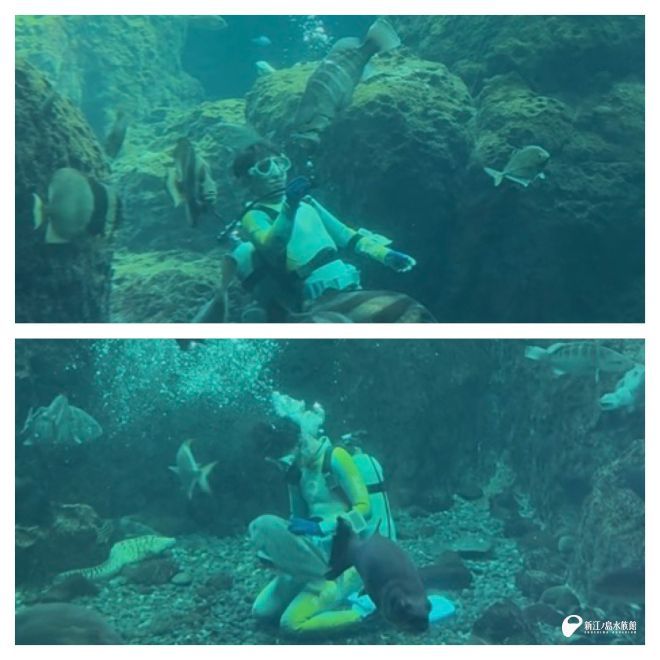 新江ノ島水族館 tweet media