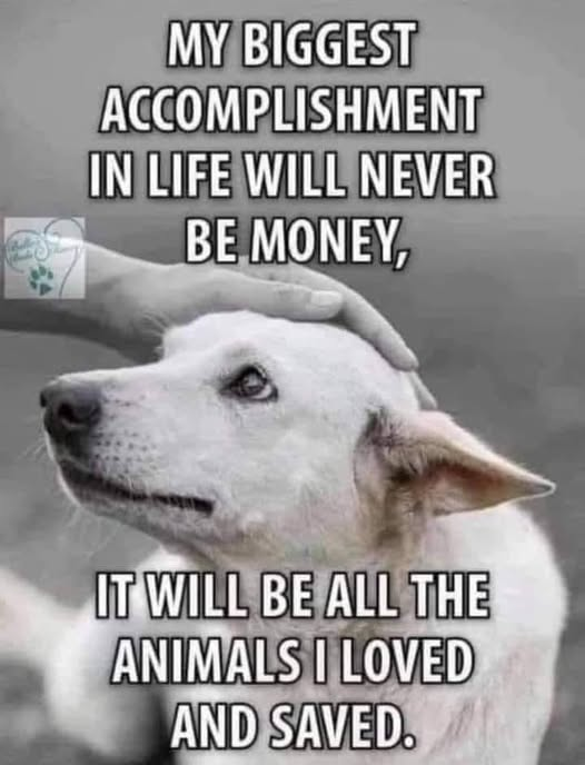 Papa Woof und Krampus und Bleaken tweet media