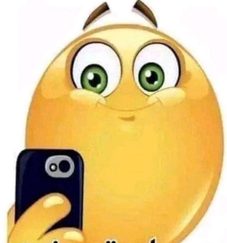 Salman 🐢 tweet media