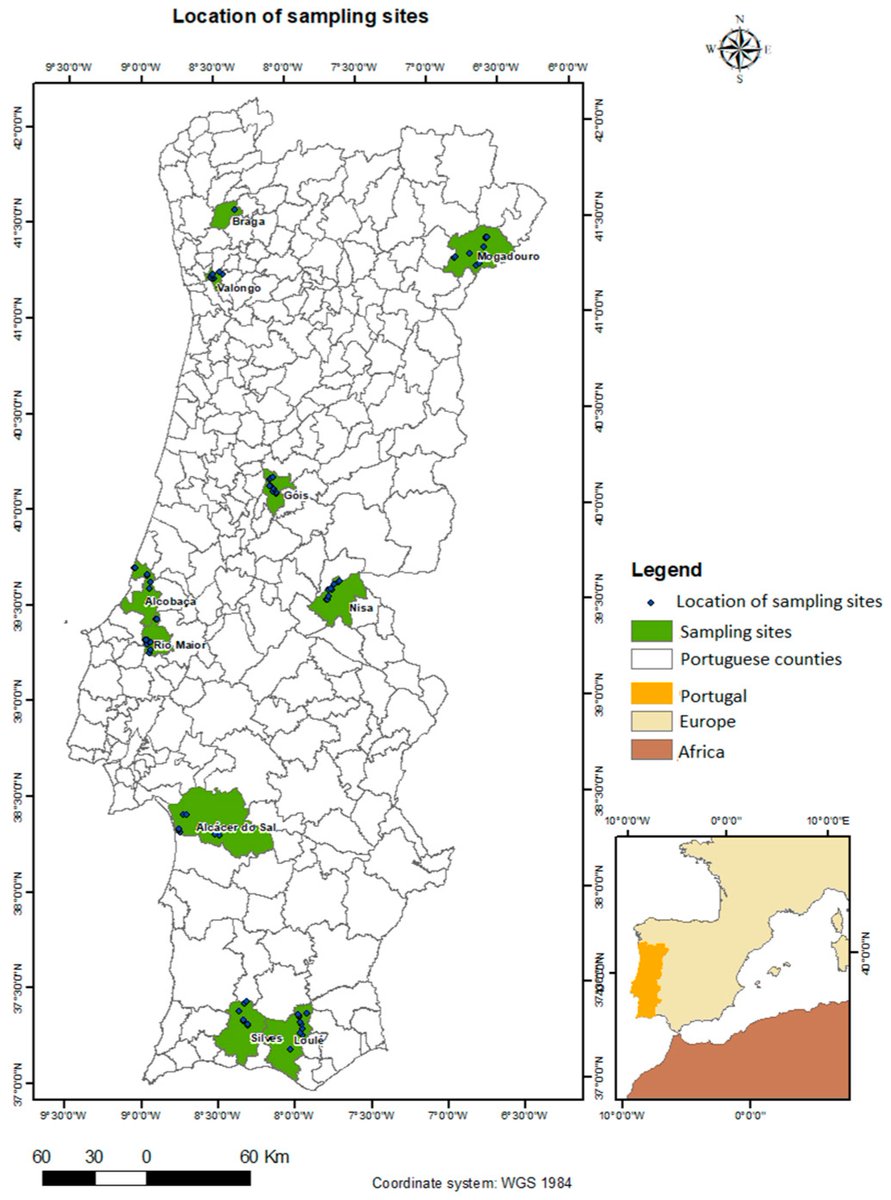 Fire MDPI tweet media