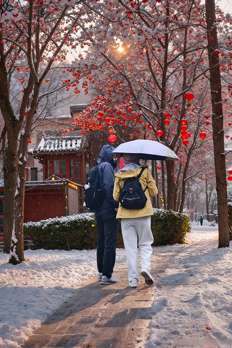 Ben Gerritsjans tweet media