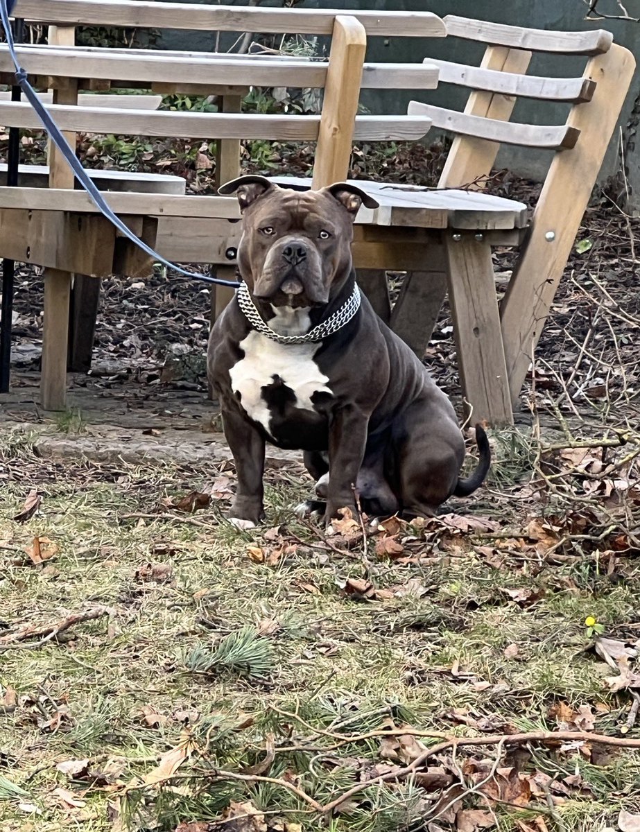 St.Tare🇬🇷 tweet media