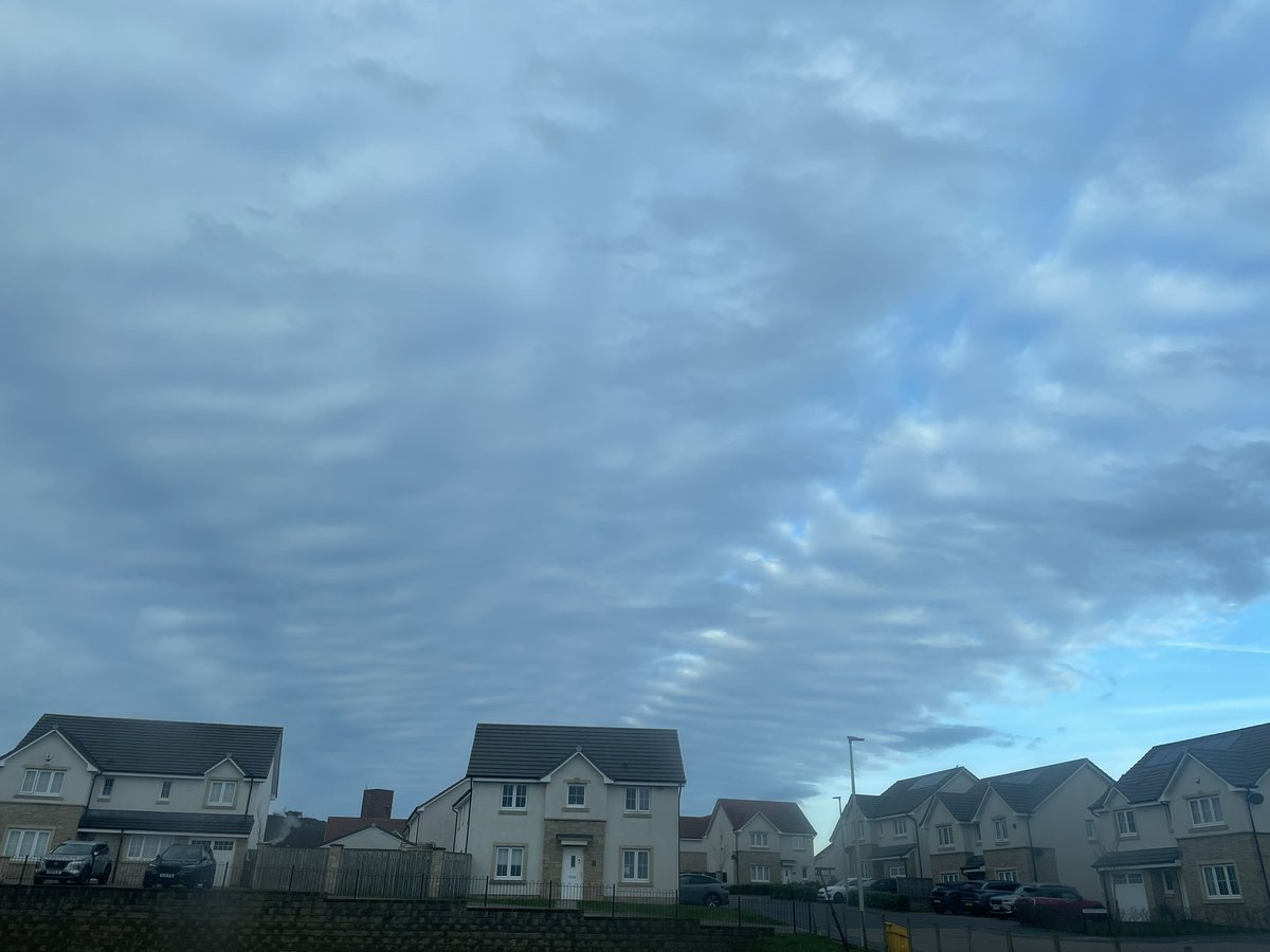 Nae Comment tweet media