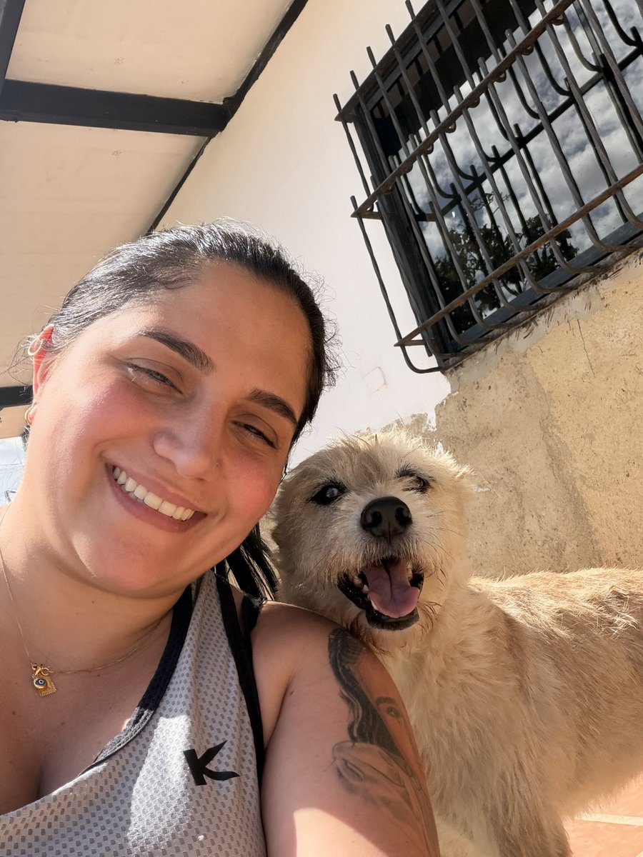 ayudemosapluto tweet media