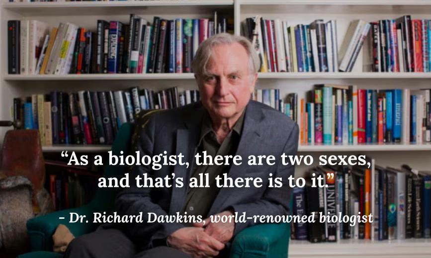 Supernova tweet media