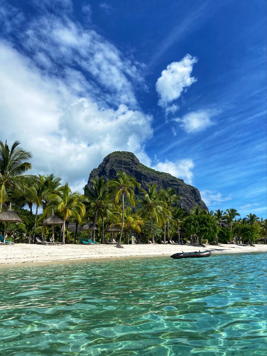 Mauritius Island tweet media
