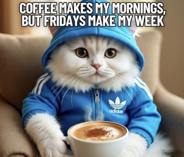 Cotton Candy Queen 🩷🩵🇺🇸 tweet media